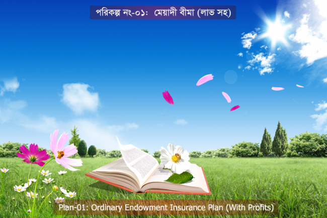 Plan-01_Caption