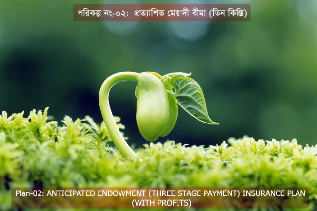 Plan-02_Caption