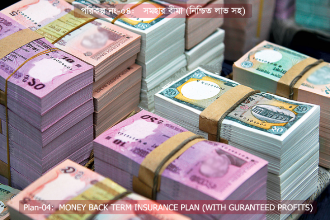 Plan-04_Caption