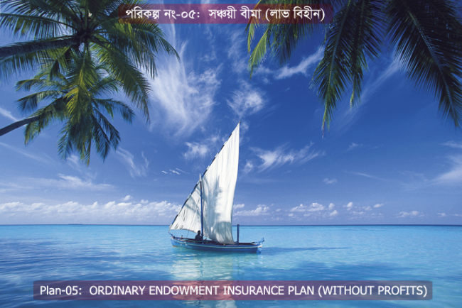 Plan-05_Caption